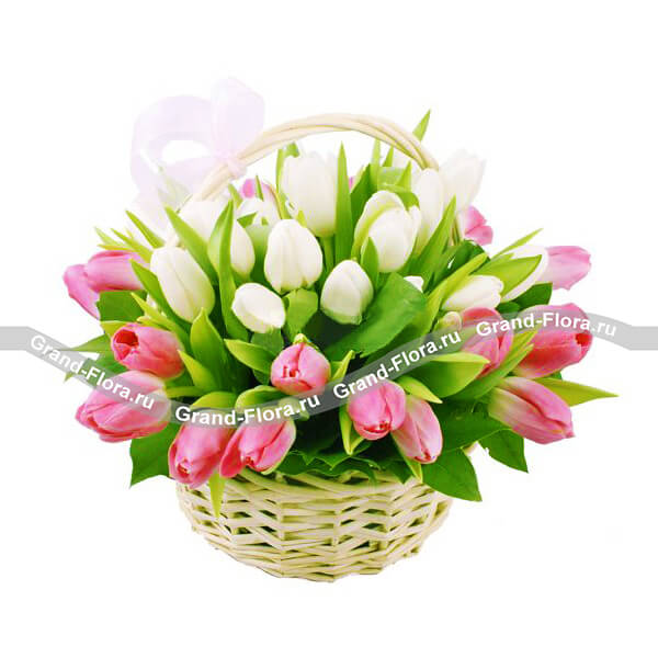 Романтичная сказка - корзина из белых и розовых тюльпанов