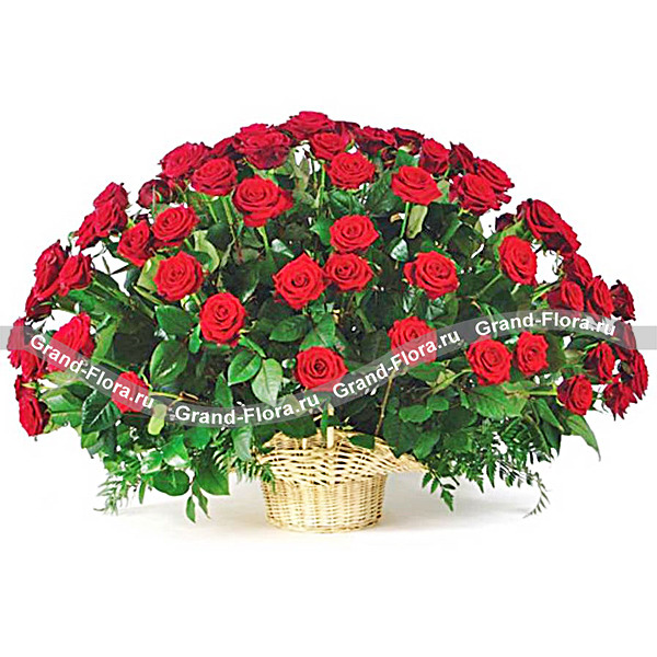 Букет из 101 розы "Примадонна"